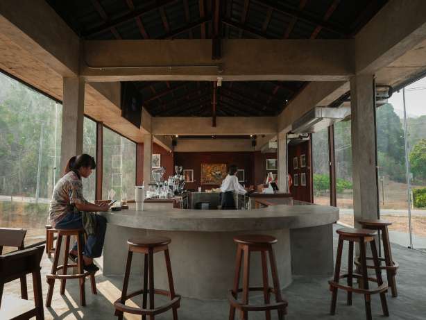 TASANA ทสฺสน - ที่เที่ยวเชียงดาว