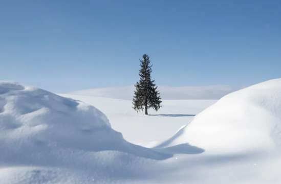 삿포로에서 비에이 렌터카