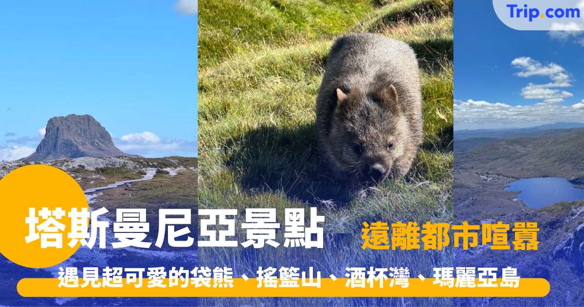 塔斯曼尼亞景點  2026 被譽為「世界盡頭」的空靈感！遇見超可愛的袋熊、搖籃山、酒杯灣、瑪麗亞島 | Trip.com