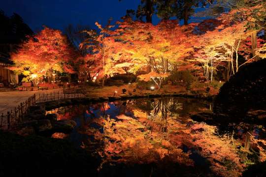 圓通院紅葉點燈