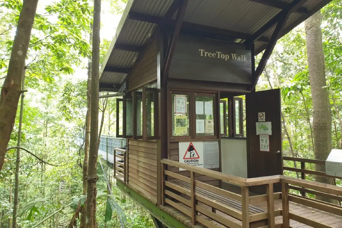 MacRitchie TreeTop Walk