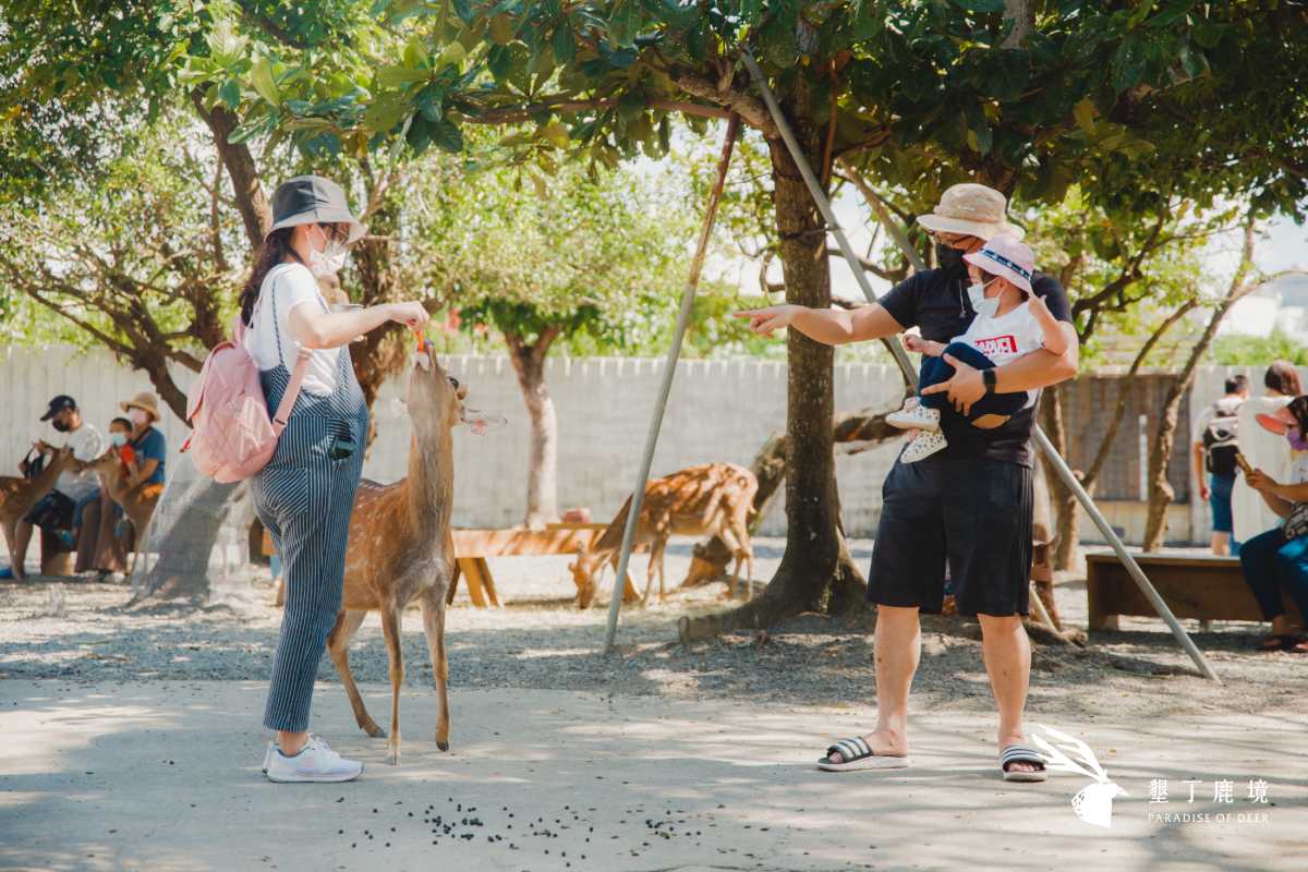 墾丁凱撒大飯店附近景點 墾丁鹿境梅花鹿園