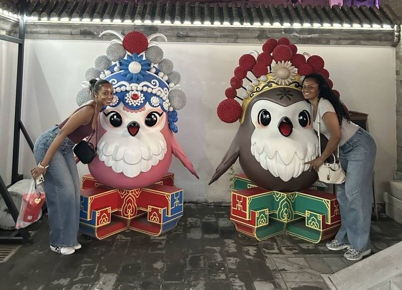 Visitors posing with colorful owl sculptures in Beijing