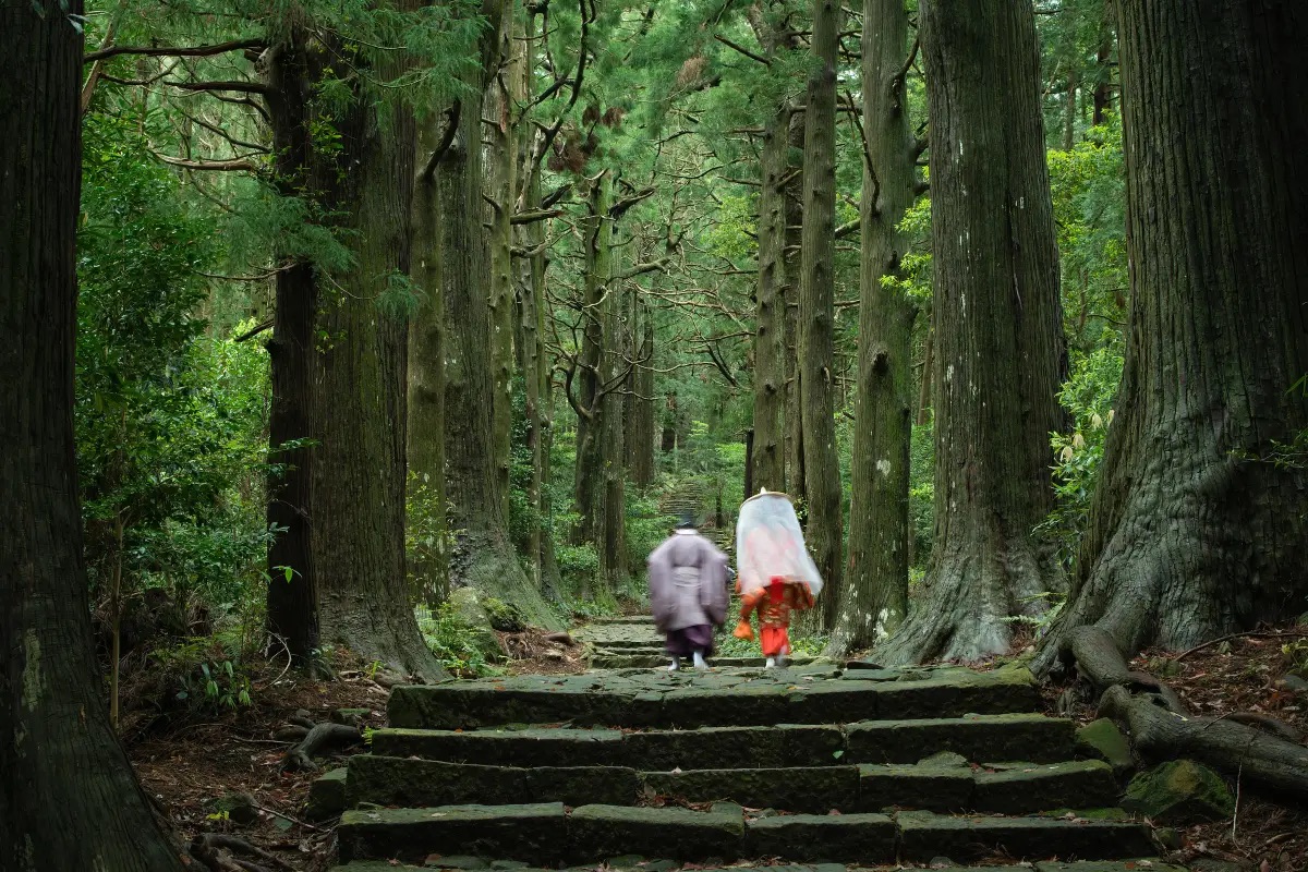 和歌山景點 #6 熊野古道
