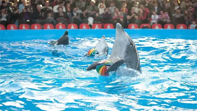 ที่เที่ยวพัทยา