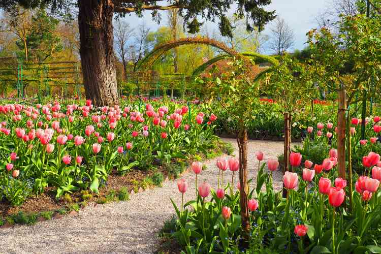 เมืองจิแวร์นี บ้านโมเนต์ (Giverny - Monet’s Garden)