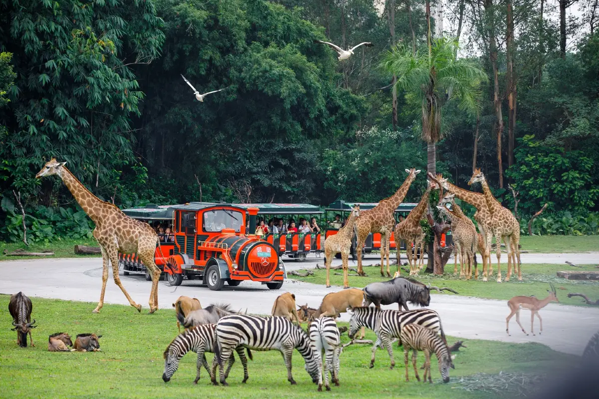 廣州長隆動物園, 景點設施