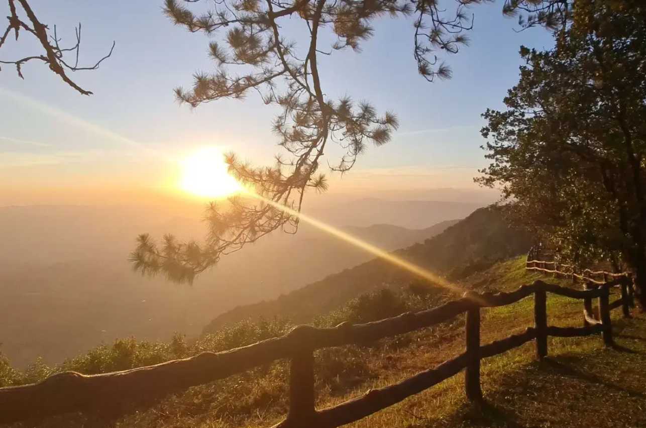 อุทยานแห่งชาติภูเรือ
