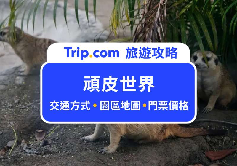 頑皮世界首圖