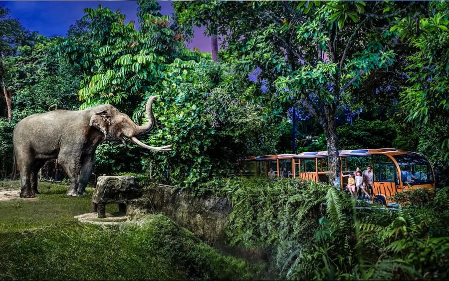 싱가포르 가족 여행, 나이트 사파리