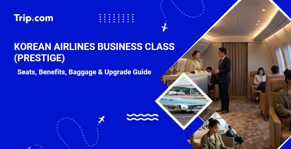 Korean Airlines Business Class: Seats, Baggage & Upgrades