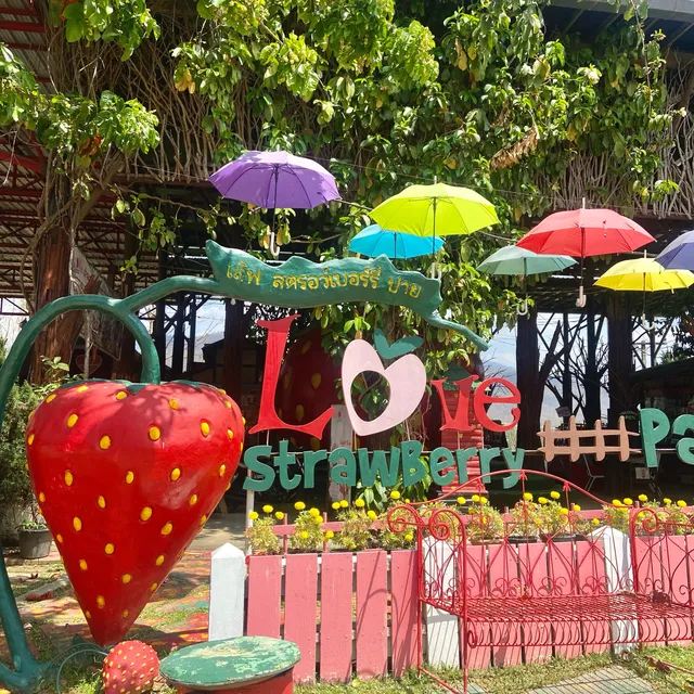 25 ที่เที่ยวปาย 2569 เที่ยวปายแบบปัง ๆ จุดเช็กอินชื่อดังที่ห้ามพลาด | Trip.com