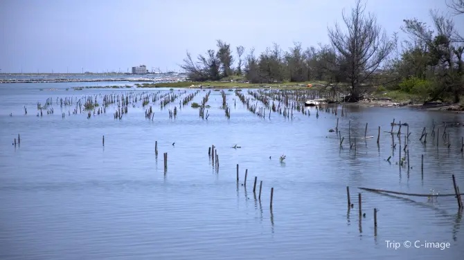 七股潟湖