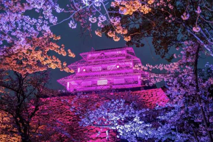 3월 축제 후쿠오카