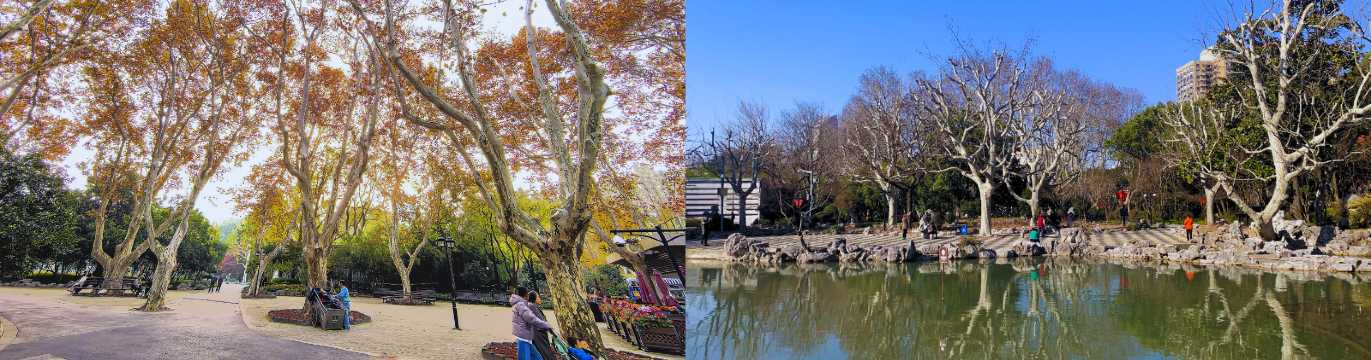 Collage of an urban park with tree-lined paths in autumn and a lake with trees reflected in the water