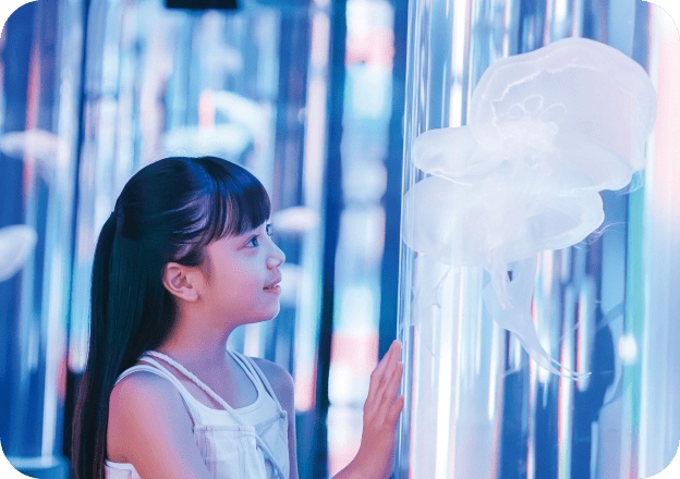 DMM Kariyushi 水族館｜必看亮點 1F 輕飄水母區