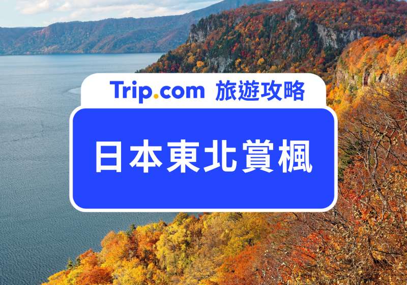 日本東北賞楓