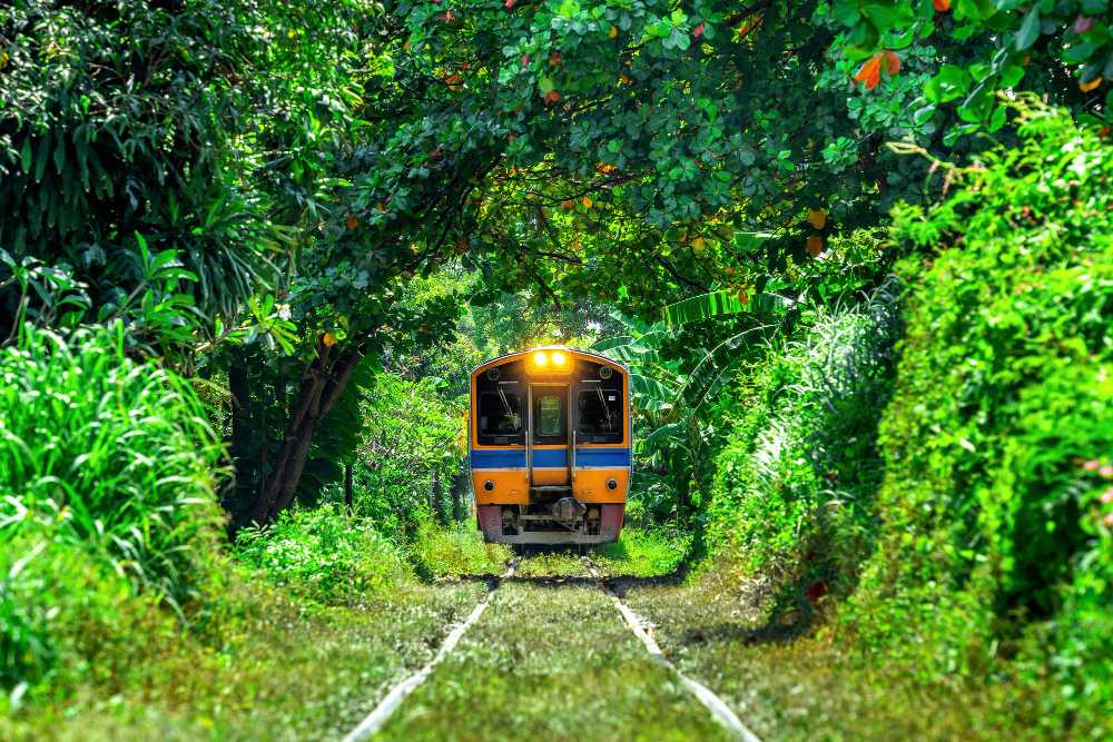 เสน่ห์ของการนั่งรถไฟไปเชียงใหม่