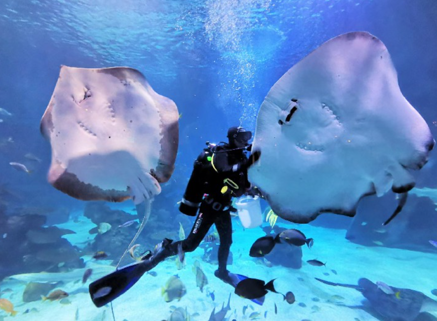 อควาเรีย ภูเก็ต