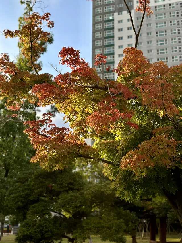 釜山市民公園