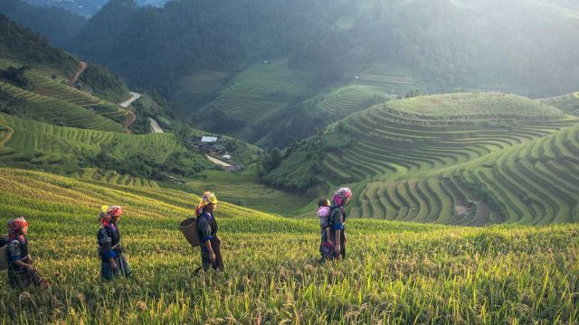 Outdoor Adventure & Trekking