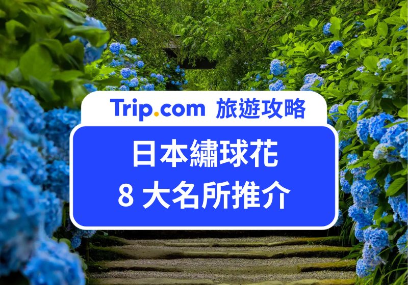 日本繡球花 8 大名所推介