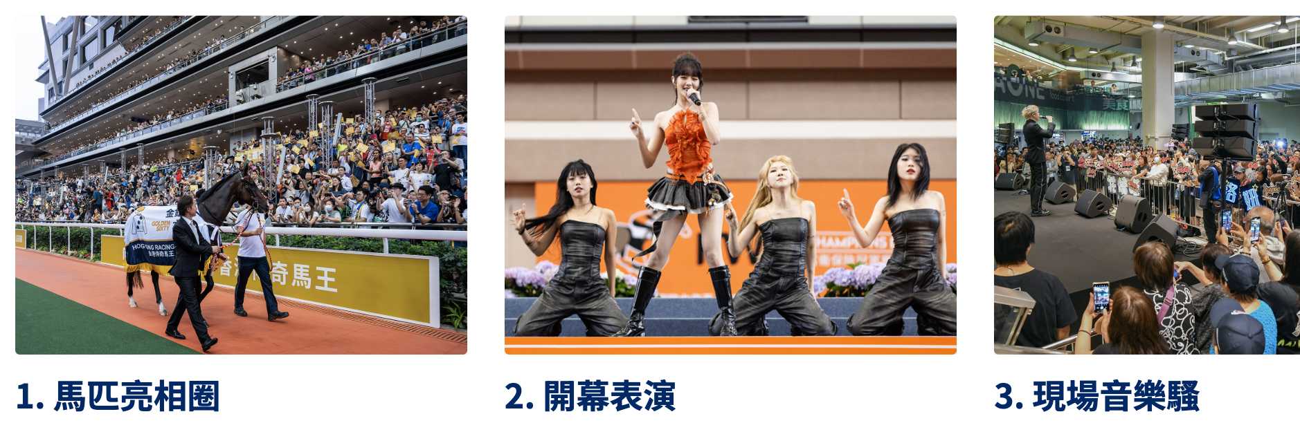 沙田馬場  特色互動體驗