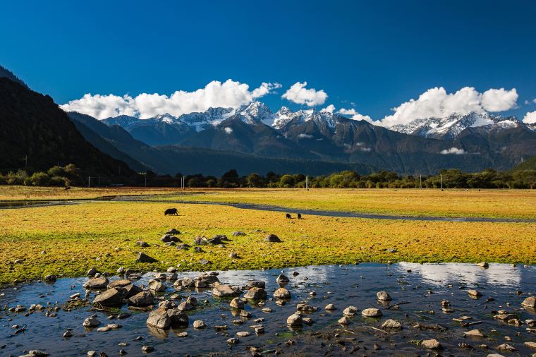 ฤดูร้อนในทิเบต