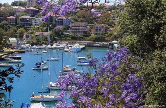 시드니 여행 경비 파라마타