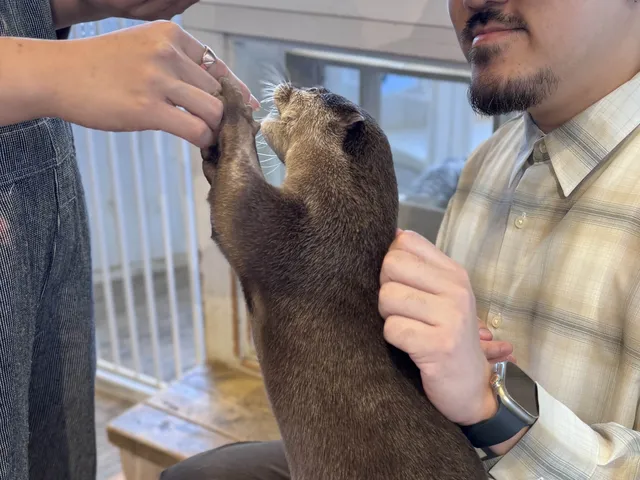 原宿, 美食, 𝗛𝗮𝗿𝗿𝘆 𝗛𝗮𝗿𝗮𝗷𝘂𝗸𝘂 𝗧𝗲𝗿𝗿𝗮𝗰𝗲