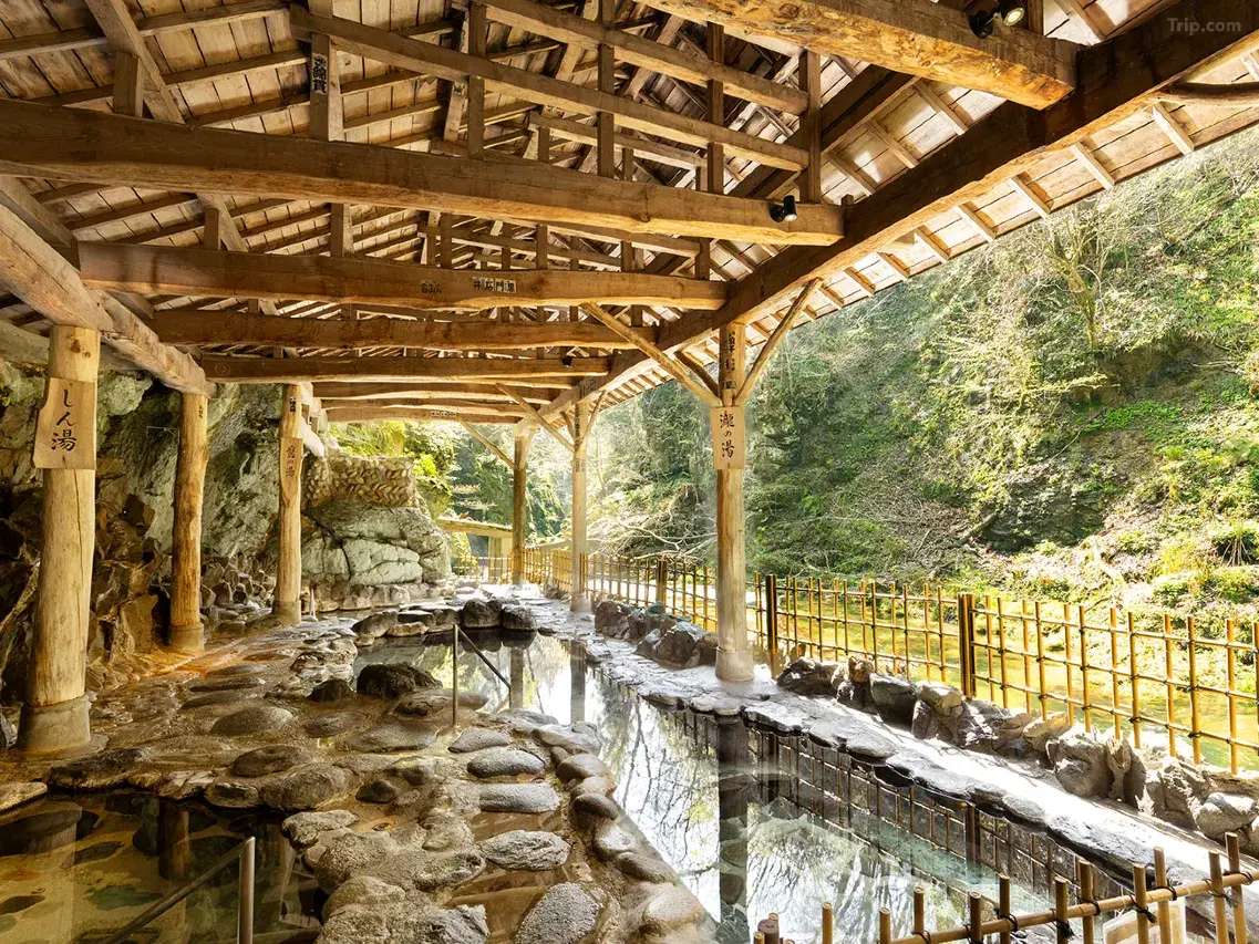 사쿠나미 온천 료칸 