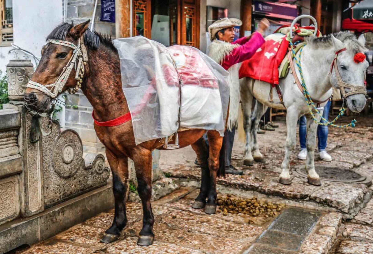  ขี่ม้าที่ลี่เจียง