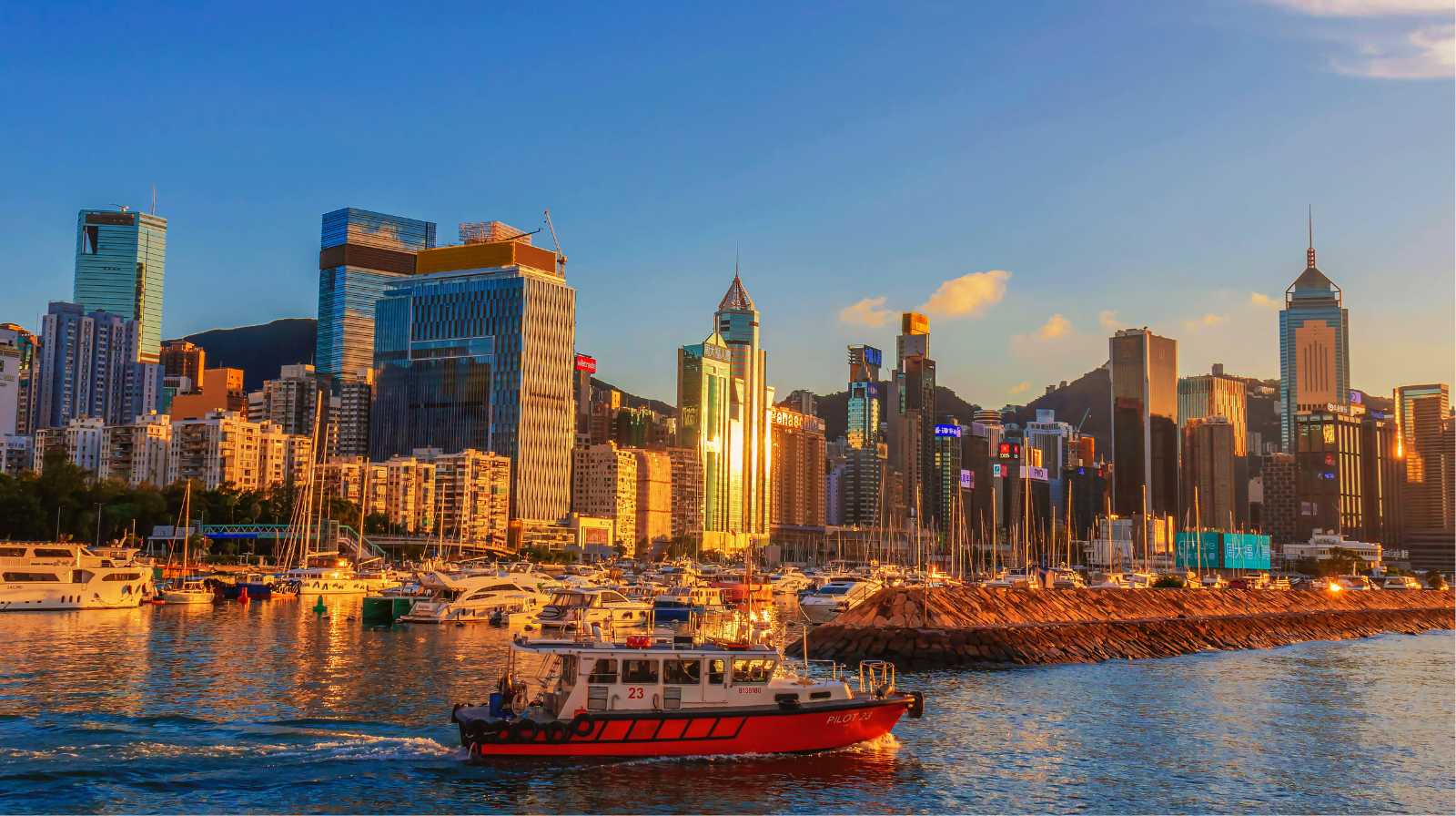 Puerto deportivo en una gran ciudad china con rascacielos modernos al fondo