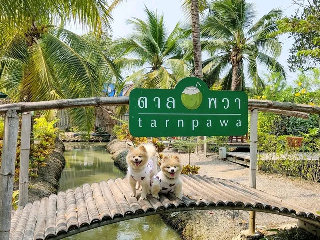 ตาลพวา คาเฟ่ในสวนมะพร้าว