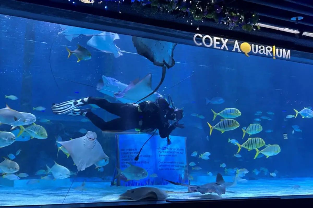 COEX AQUARIUM 水族館