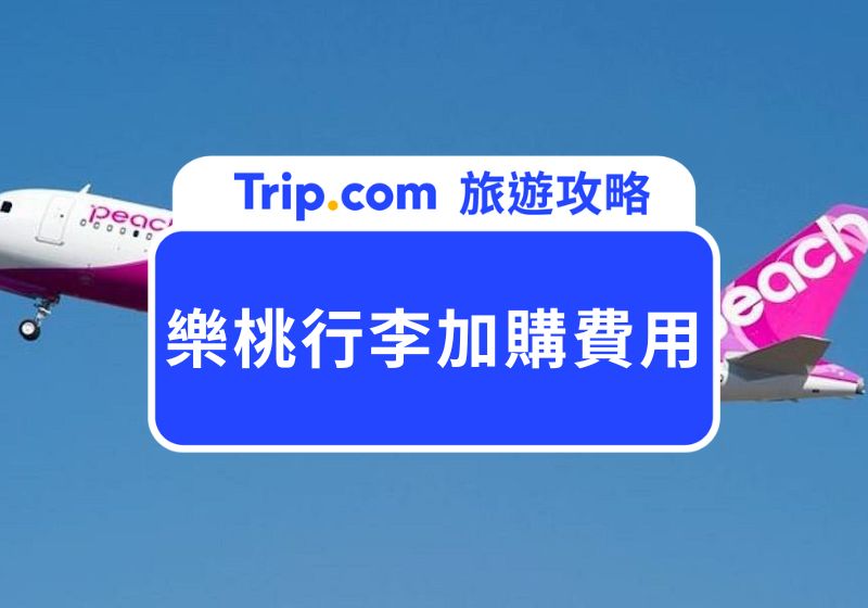 樂桃行李加購費用一件多少錢?別再為行李煩惱!5 分鐘看懂樂桃航空最新行李限制