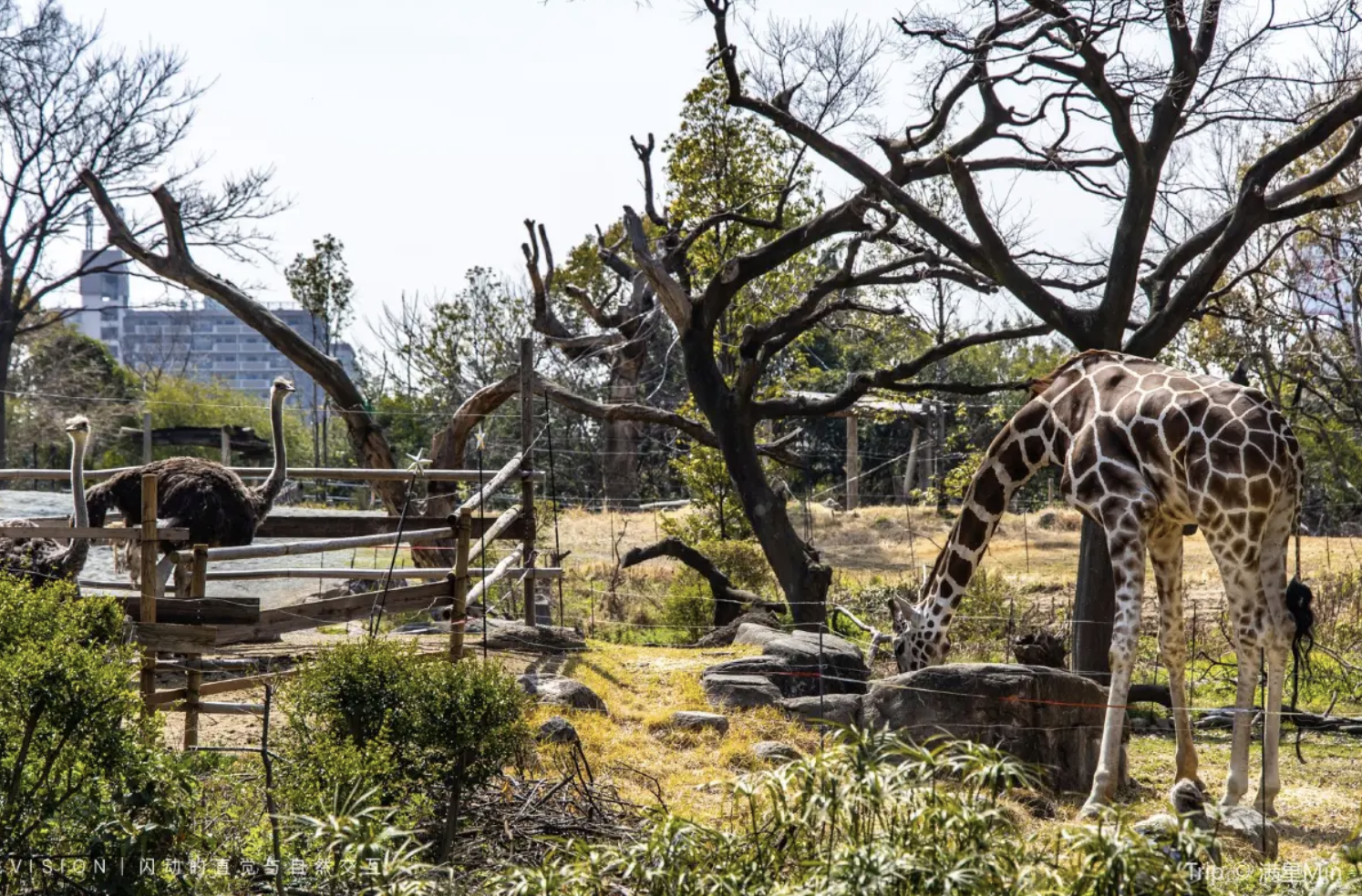 天王寺動物園