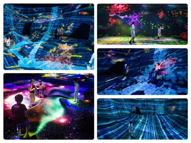 澳門 TeamLab 必看亮點#3 運動森林