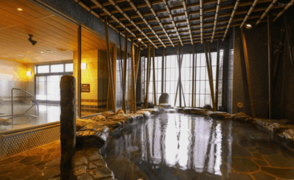 도미 인 프리미엄 난바