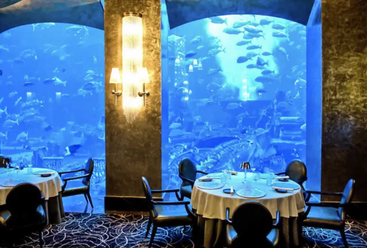 두바이 음식 수족관