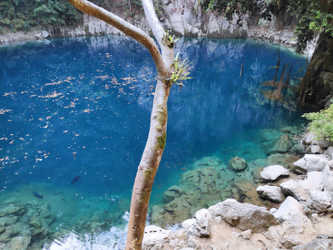 14. หล่มภูเขียว