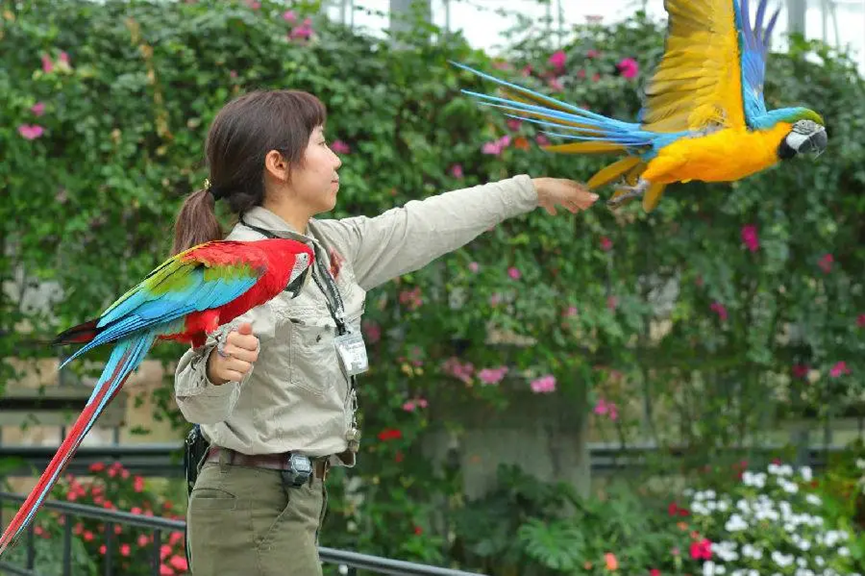 神戶動物王國