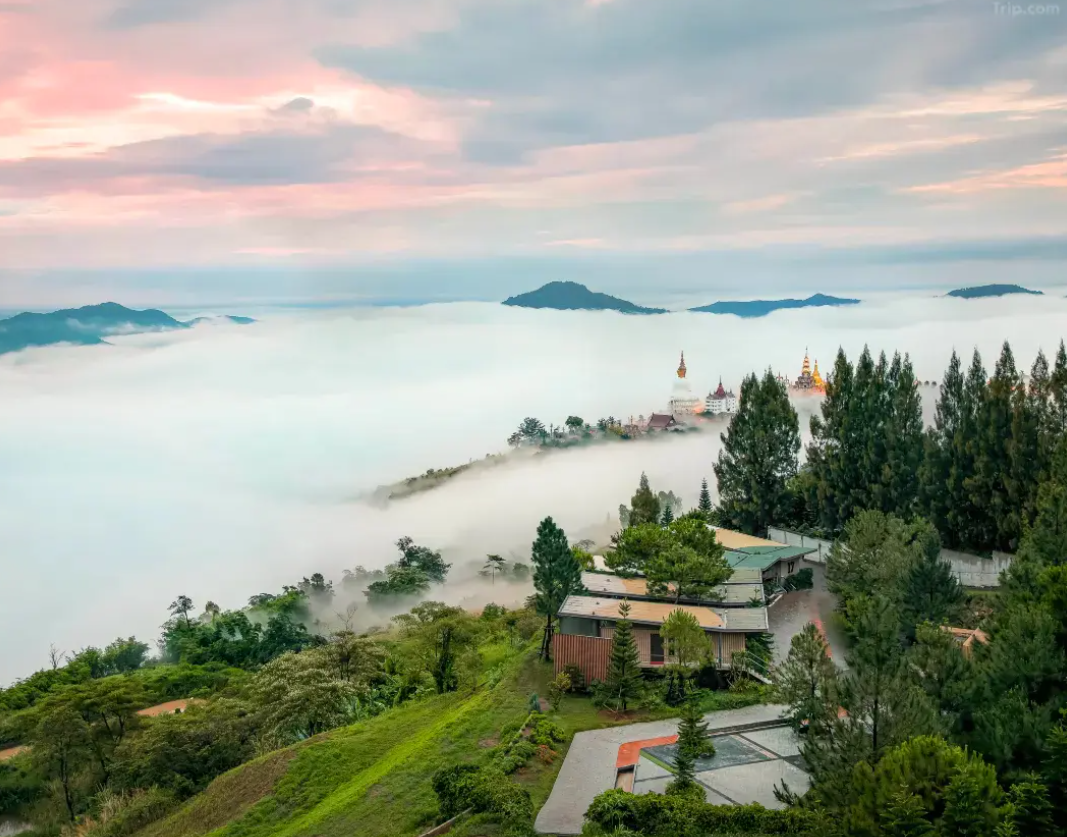 พีโน่ ลาเต้ รีสอร์ท