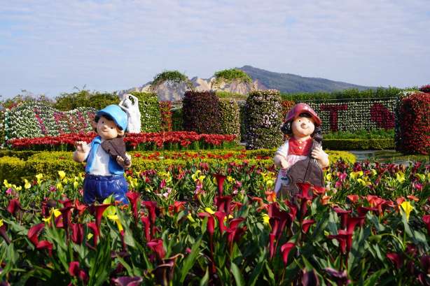 中社觀光花市