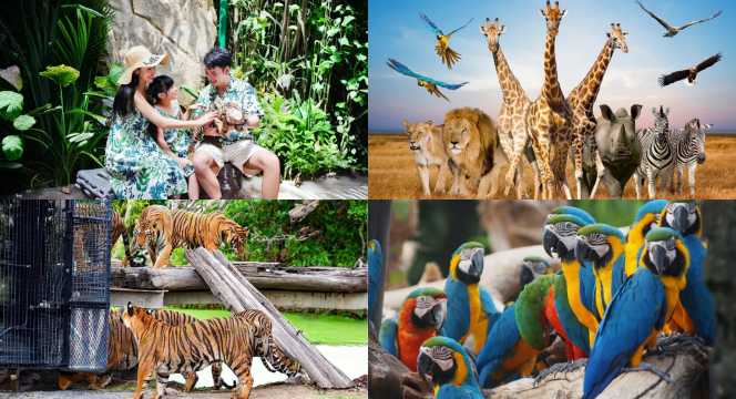 ซาฟารีเวิลด์ (Safari World)