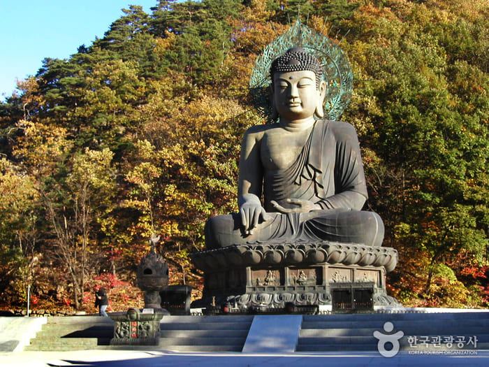 속초 여행 코스, 신흥사