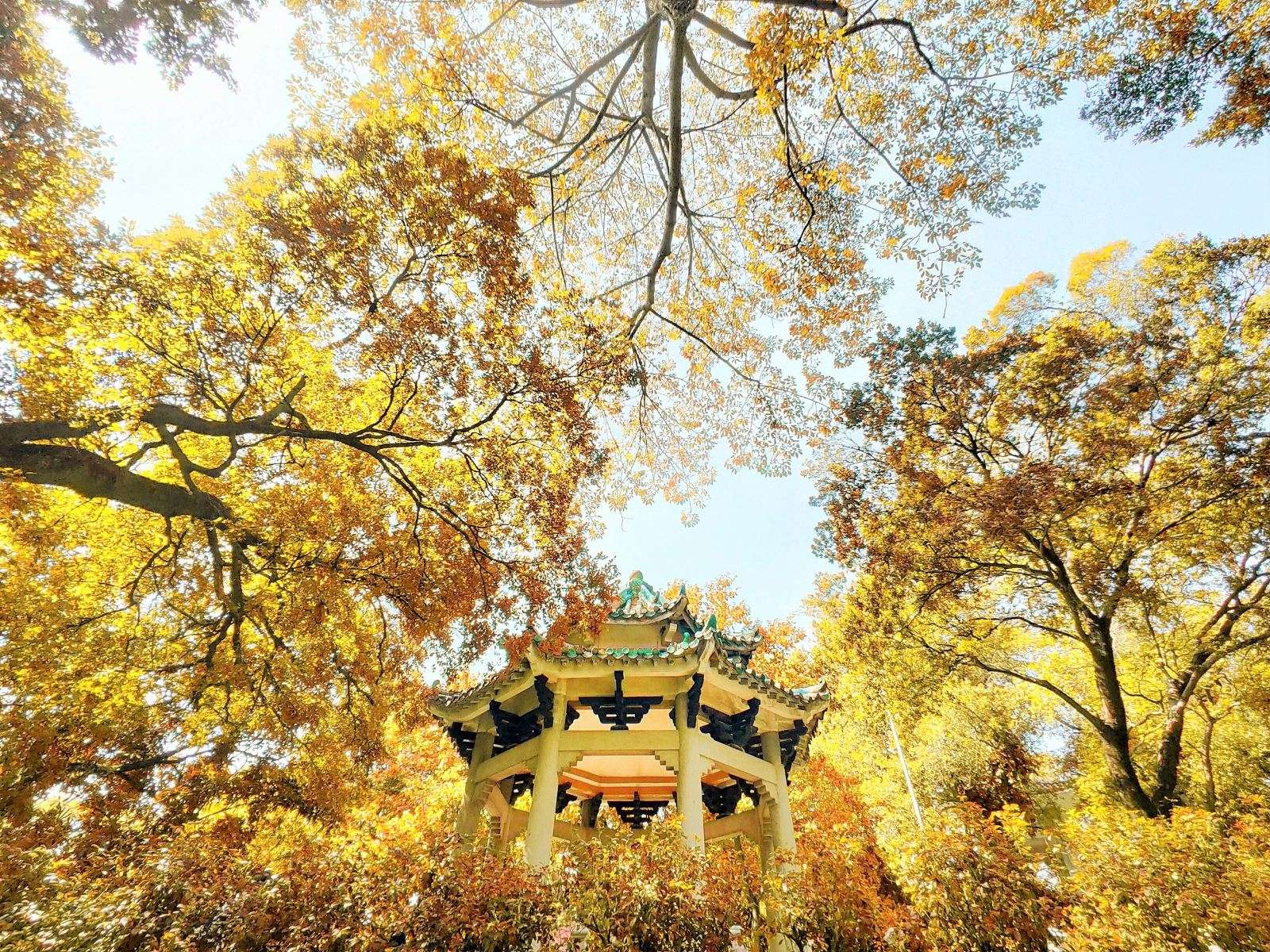 Гуанчжоу осенью