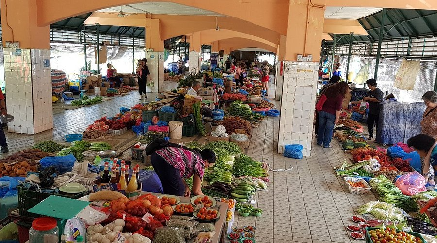 bustlin muhhibah tamu