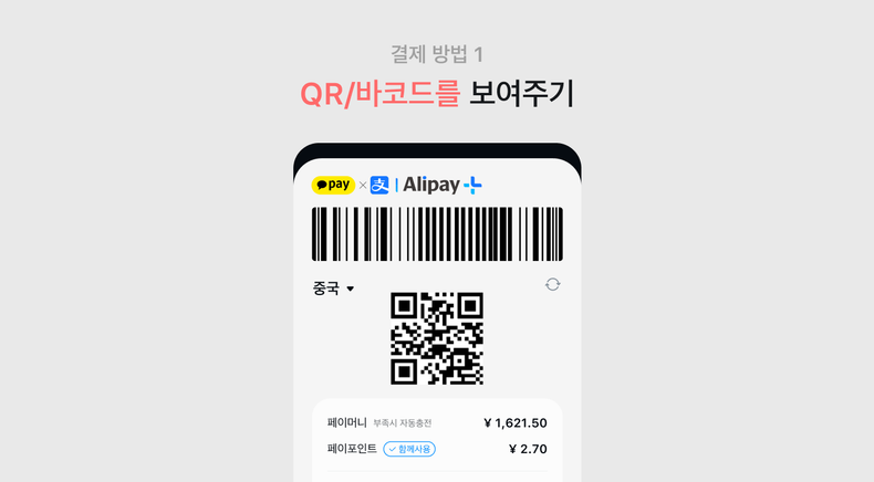 알리페이 카카오페이