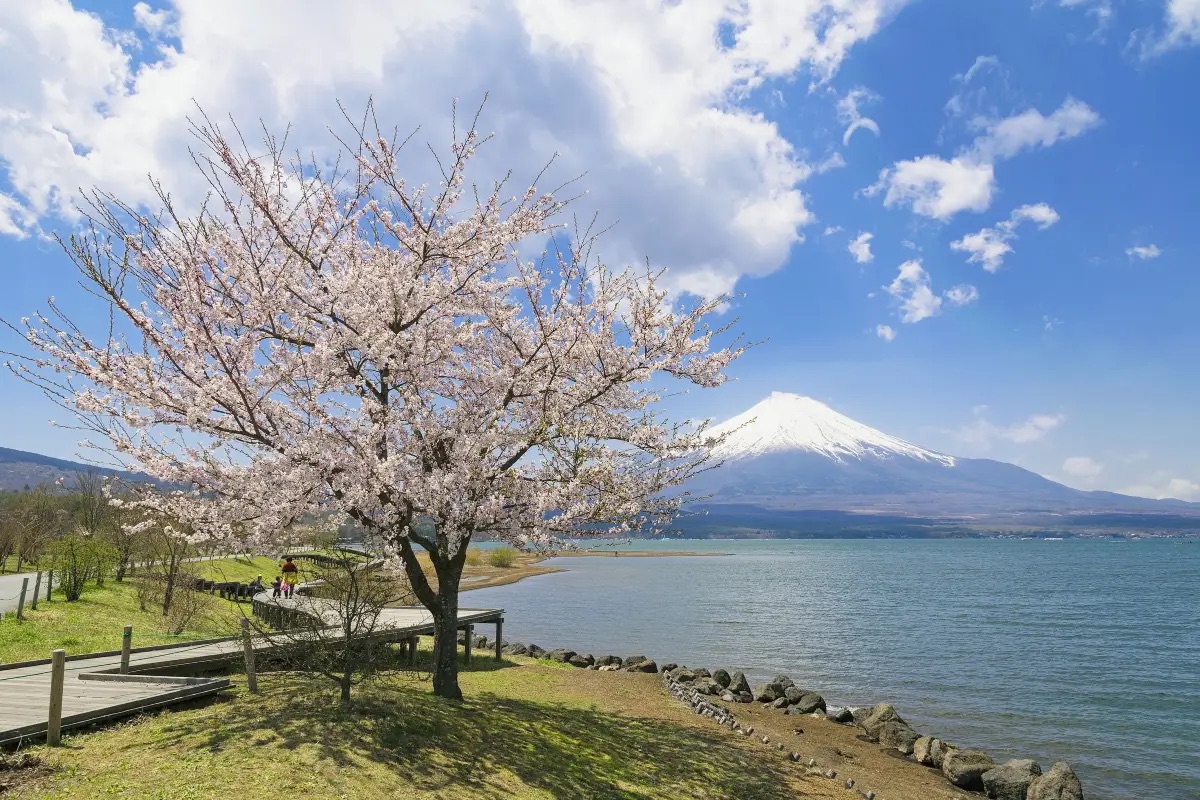 山中湖